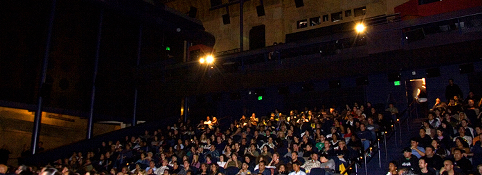 Artivist Film Festival - Egyptian Theatre Audience
